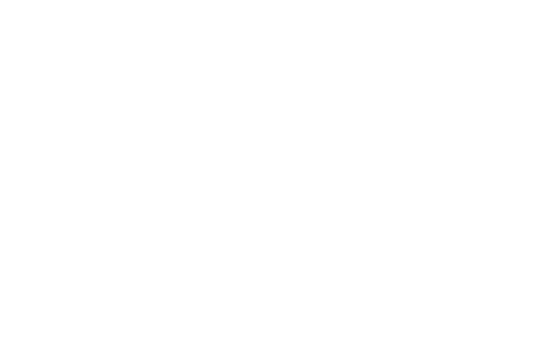 Awesome Party Rentals